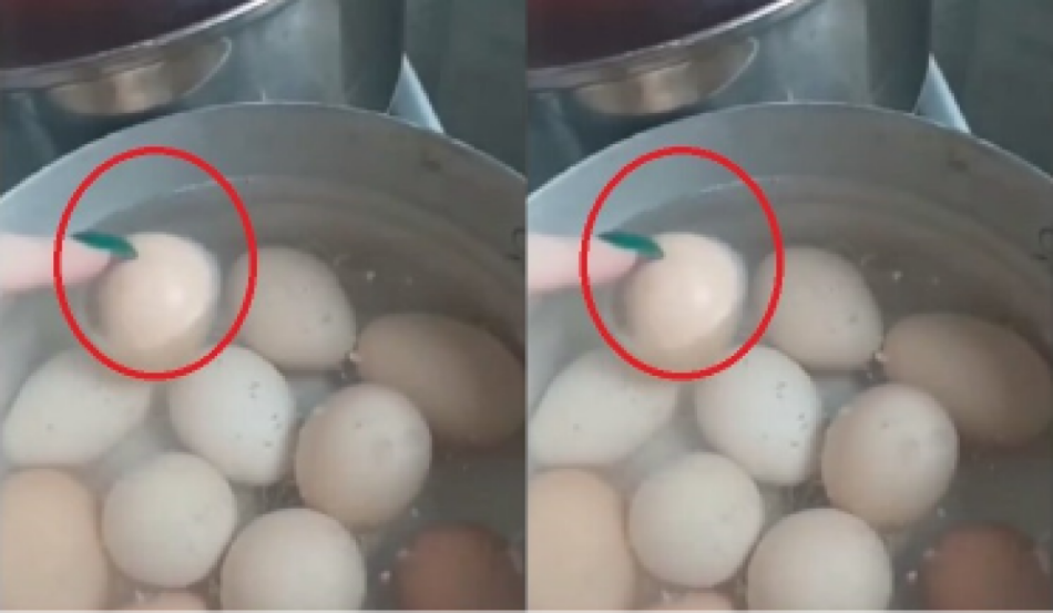 ქალი ხარშავდა კვერცხებს და ვერც კი წარმოიდგენდა რა მოხდებოდა