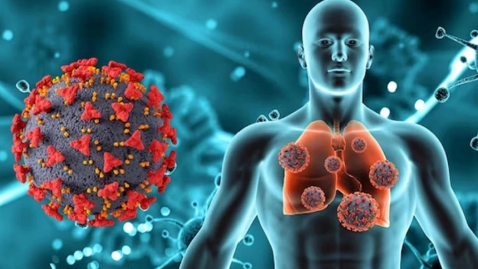 როგორ ვრცელდება HMPV ვირუსი, რამდენ ხანს გრძელდება და როგორ ხდება დიაგნოსტიკა