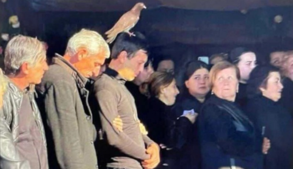 “ის მტრედი ხომ საერთო ციდან იყო, საბერიოს ანგელოზების მამას რომ დაეყრდნო…” - რას წერს გიორგი კეკელიძე