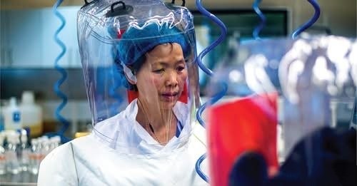 "ის ძალიან ჰგავს 2020 წლის მომაკვდინებელ ვირუსს" - რა არის ცნობილი ჩინურ ლაბორატორიაში, ღამურებში აღმოჩენილ ახალ კორონავირუსზე