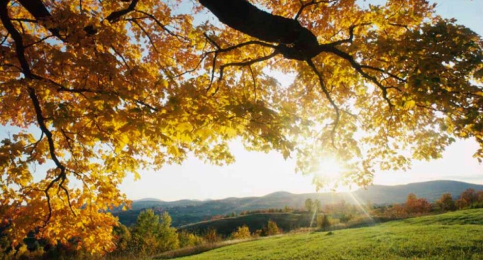 “ჰაერის ტემპერატურა მომატებას დაიწყებს” - როგორია განახლებული ამინდის პროგნოზი