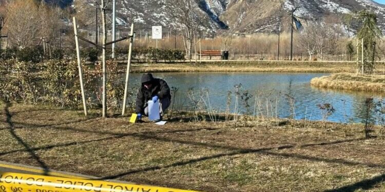 გორში, ახალბაღის პარკის ტბაში ცხედარი იპოვეს