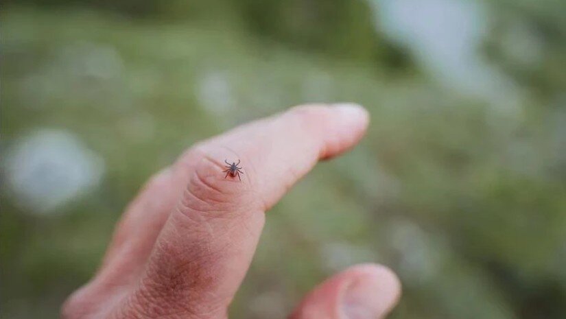 ,,ნუ ატეხავთ პანიკას, ნუ შეგიპყრობთ შიში, იმოქმედეთ მშვიდად” – პედიატრი საზოგადოებას აფრთხილებს