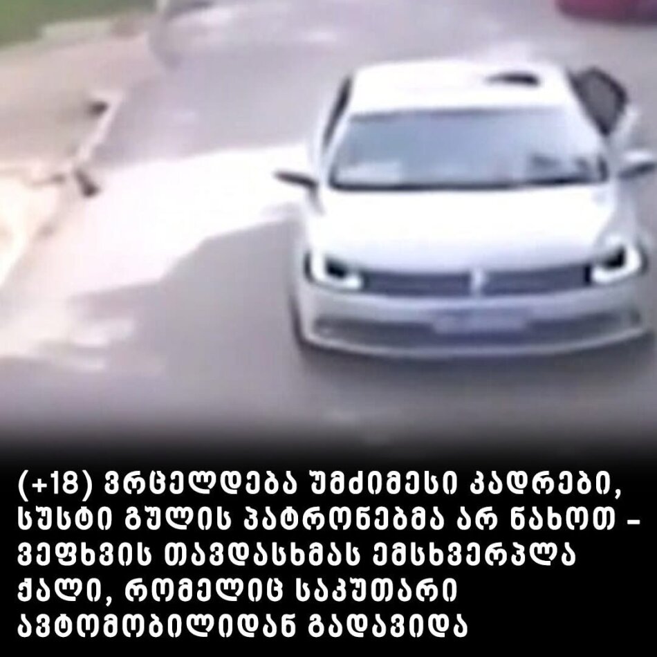 ტრაგიკული შემთხვევა ჩინეთის ზოოპარკში – ვეფხვის თავდასხმას ემსხვერპლა ქალი, რომელიც საკუთარი ავტომობილიდან გადავიდა