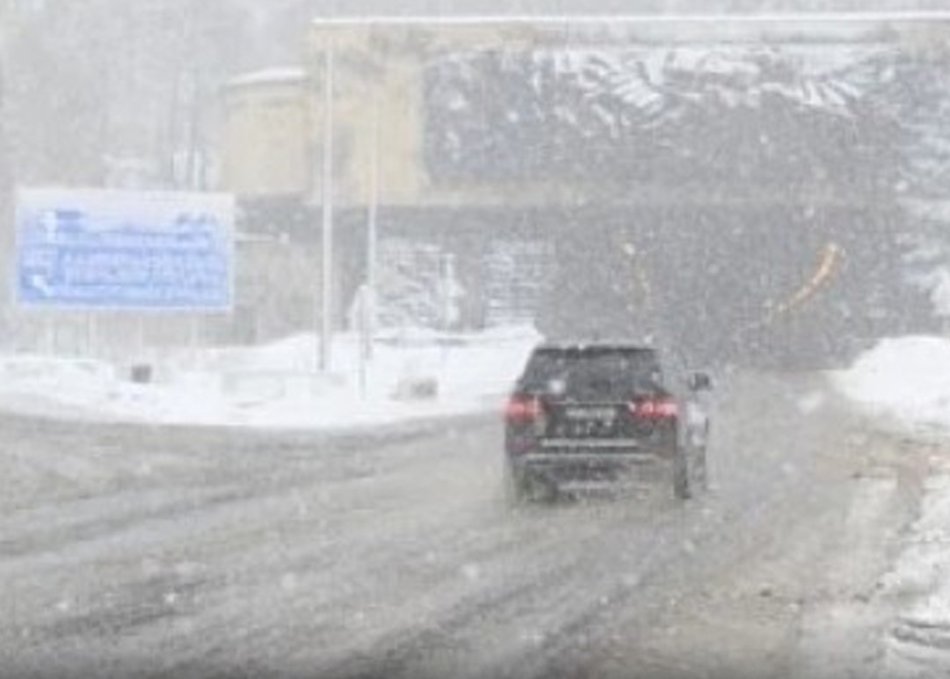 ინფორმაცია მათთვის, ვინც რიკოთის მიმართულებით გადაადგილებას გეგმავს