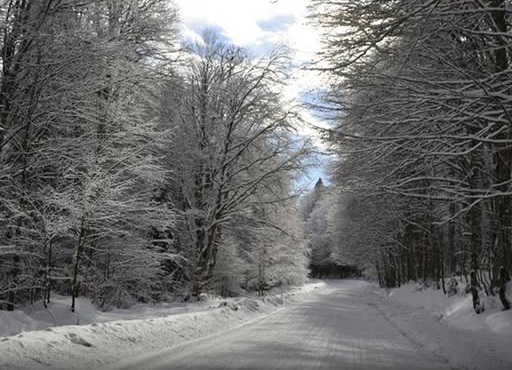 გაფრთხილება მძღოლებს, რომლებიც 29-30 დეკემბერს მგზავრობას გეგმავენ