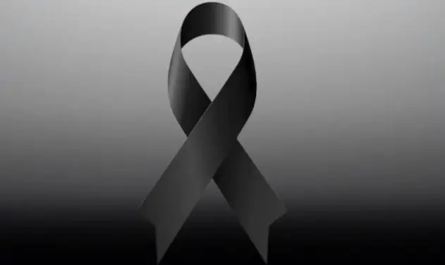 ემიგრაციაში ქართველი ახალგაზრდა დაიღუპა