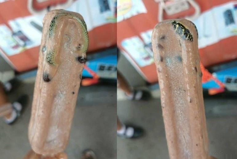 ნაყინში შხამიანი გველი აღმოაჩინა – ფაქტმა, მთელი მსოფლიო აალაპარაკა