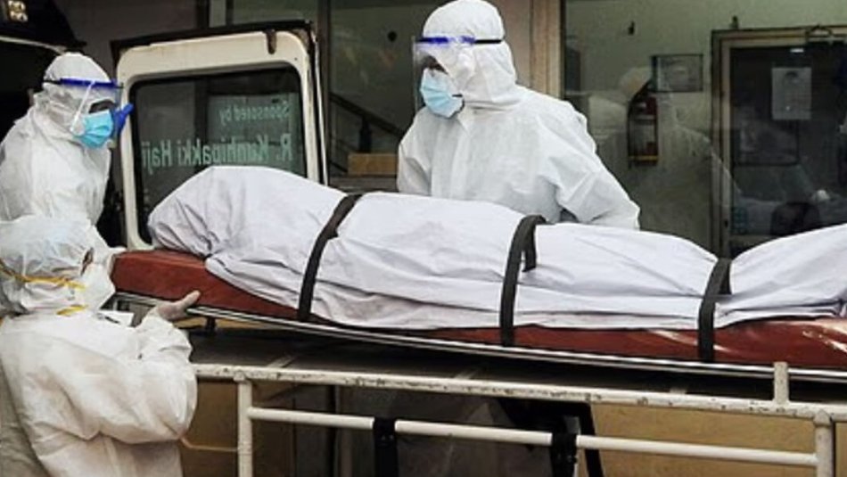 ცნობილია, რა სიმპტომები ჰქონდა ქალს, რომელიც ნიპას ვირუსით გარდაიცვალა