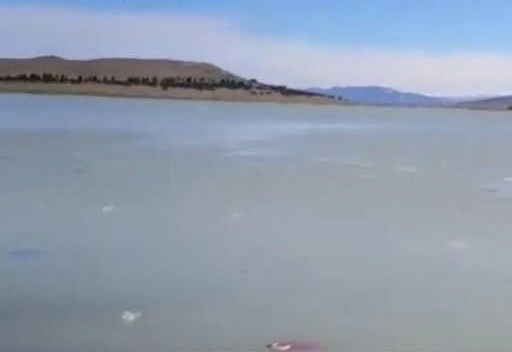 VIDEO: “ეს რა ხდება თბილისის ზღვაზე?” – რა ჩანს კადრებში, რომლებიც ზღვის სანაპიროზე დააფიქსირეს