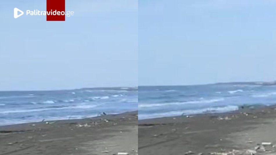 რა ხდება ვერ გავიგე, თან ამდენი ერთდროულად …” – რა გამორიყა ზღვამ ფოთში?