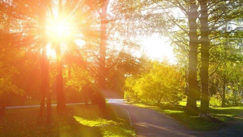 ტემპერატურა +23 გრადუსამდე მოიმატებს - ამინდის განახლებული პროგნოზი