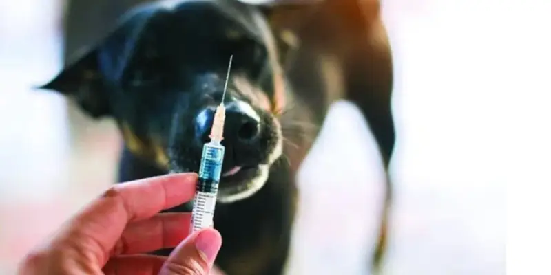 მარტვილში ,სოფელ ბანძაში კარანტინი გამოცხადდა – ონისე ჯანაშია