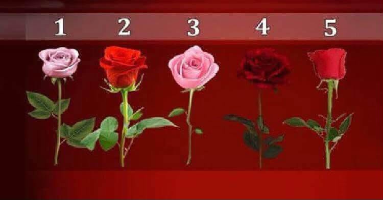 ტესტი: გვითხარით რომელ ვარდს ირჩევთ და ჩვენ გეტყვით როდის აგიხდება სურვილები